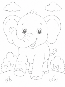 Elephant Walking Forward