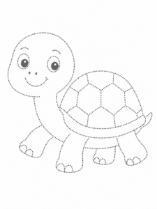 Turtle Walking Slowly